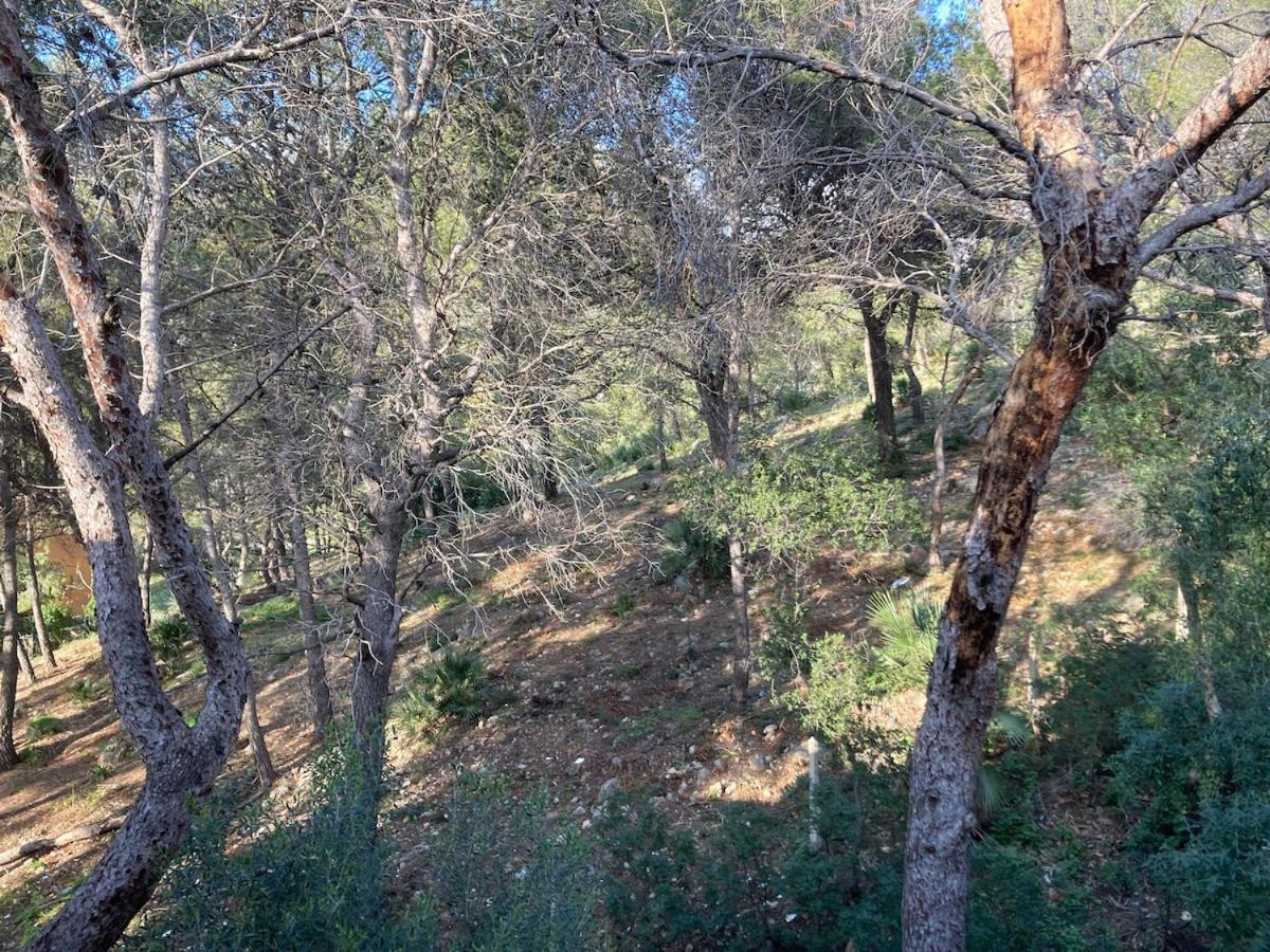 Apartamento Con Vistas Al Mar Castelldefels Eksteriør billede
